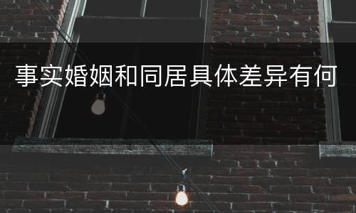 事实婚姻和同居具体差异有何