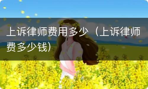 上诉律师费用多少（上诉律师费多少钱）