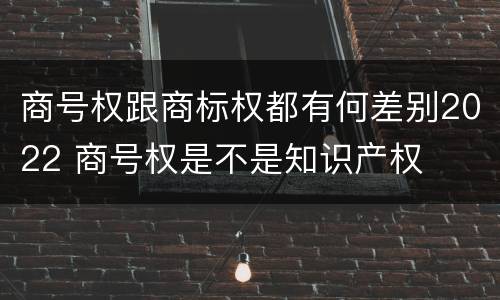 商号权跟商标权都有何差别2022 商号权是不是知识产权