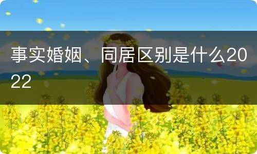 事实婚姻、同居区别是什么2022