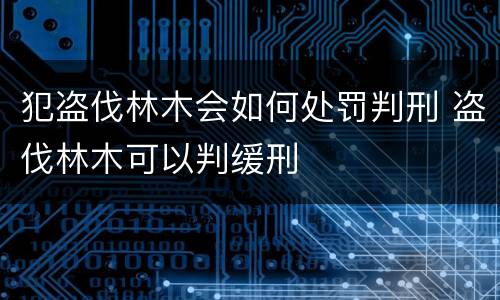 犯盗伐林木会如何处罚判刑 盗伐林木可以判缓刑