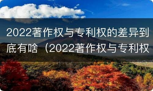 2022著作权与专利权的差异到底有啥（2022著作权与专利权的差异到底有啥区别）