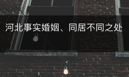 河北事实婚姻、同居不同之处