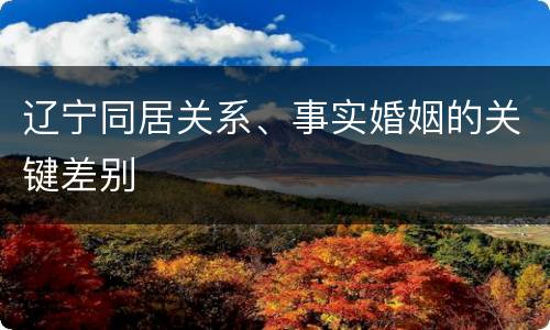辽宁同居关系、事实婚姻的关键差别