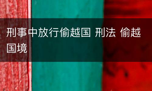 刑事中放行偷越国 刑法 偷越国境