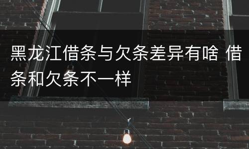 黑龙江借条与欠条差异有啥 借条和欠条不一样