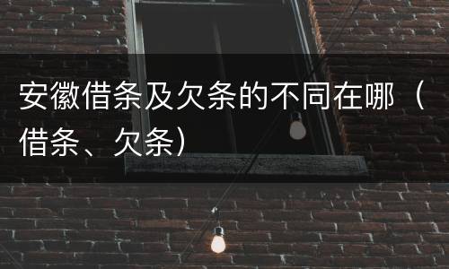 安徽借条及欠条的不同在哪（借条、欠条）