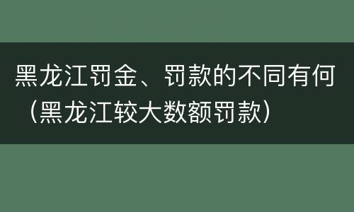 黑龙江罚金、罚款的不同有何（黑龙江较大数额罚款）