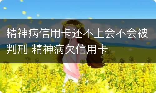 精神病信用卡还不上会不会被判刑 精神病欠信用卡