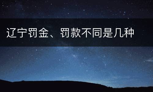 辽宁罚金、罚款不同是几种