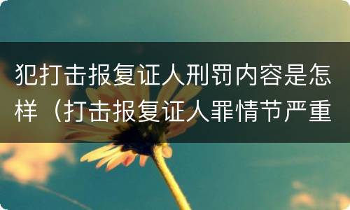 犯打击报复证人刑罚内容是怎样（打击报复证人罪情节严重）