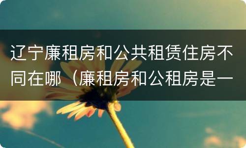 辽宁廉租房和公共租赁住房不同在哪（廉租房和公租房是一样的吗）
