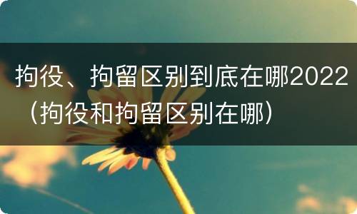 拘役、拘留区别到底在哪2022（拘役和拘留区别在哪）