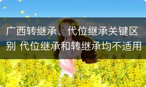广西转继承、代位继承关键区别 代位继承和转继承均不适用于法定继承