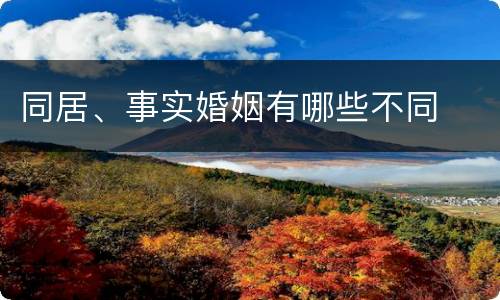 同居、事实婚姻有哪些不同
