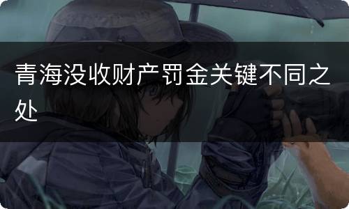 青海没收财产罚金关键不同之处