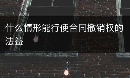 什么情形能行使合同撤销权的法益