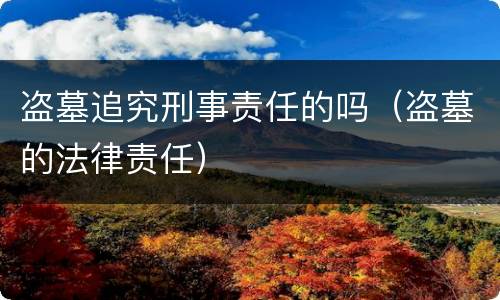 盗墓追究刑事责任的吗（盗墓的法律责任）