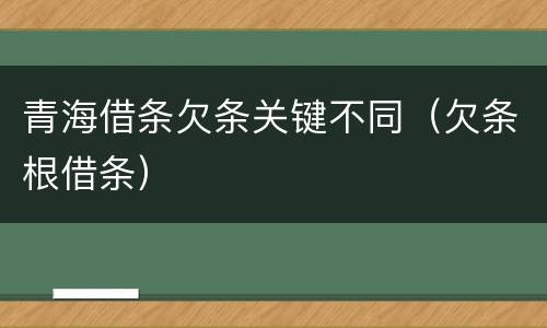 青海借条欠条关键不同（欠条根借条）