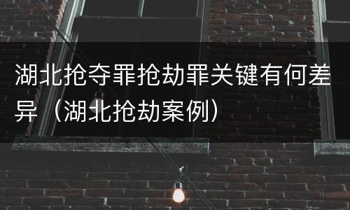 湖北抢夺罪抢劫罪关键有何差异（湖北抢劫案例）