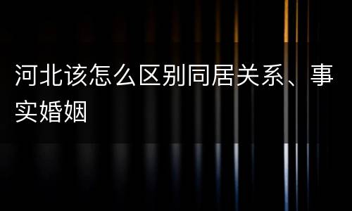 河北该怎么区别同居关系、事实婚姻
