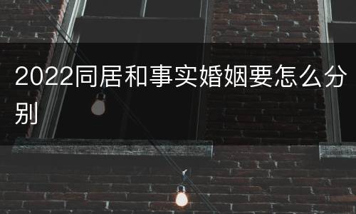 2022同居和事实婚姻要怎么分别