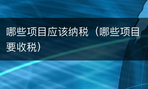 哪些项目应该纳税（哪些项目要收税）