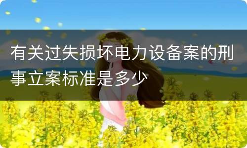 有关过失损坏电力设备案的刑事立案标准是多少