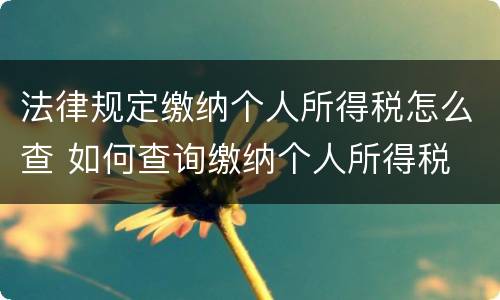 法律规定缴纳个人所得税怎么查 如何查询缴纳个人所得税