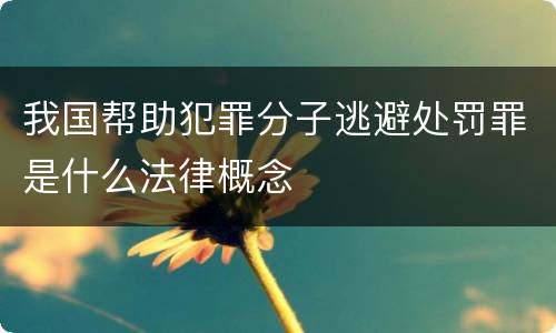 我国帮助犯罪分子逃避处罚罪是什么法律概念