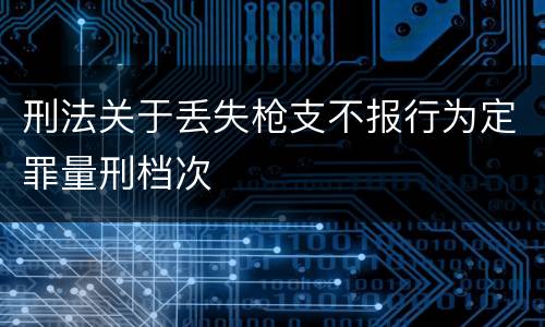 刑法关于丢失枪支不报行为定罪量刑档次
