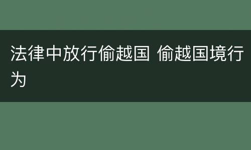 法律中放行偷越国 偷越国境行为