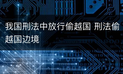 我国刑法中放行偷越国 刑法偷越国边境