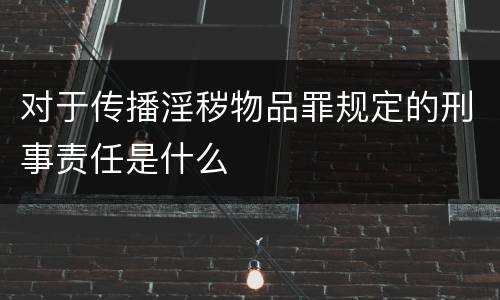 对于传播淫秽物品罪规定的刑事责任是什么