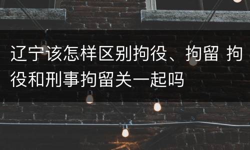 辽宁该怎样区别拘役、拘留 拘役和刑事拘留关一起吗