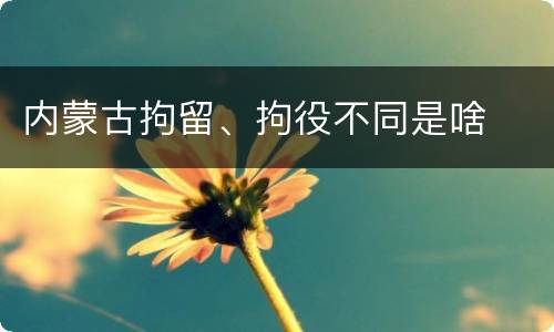 内蒙古拘留、拘役不同是啥