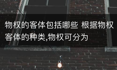 物权的客体包括哪些 根据物权客体的种类,物权可分为