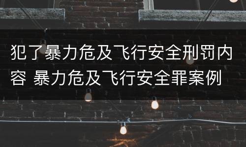 犯了暴力危及飞行安全刑罚内容 暴力危及飞行安全罪案例