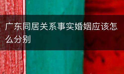 广东同居关系事实婚姻应该怎么分别
