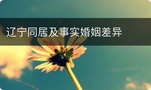 辽宁同居及事实婚姻差异