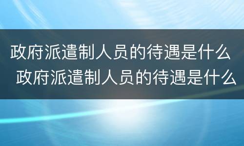 政府派遣制人员的待遇是什么 政府派遣制人员的待遇是什么意思