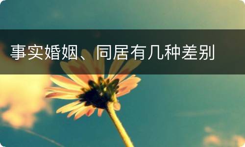 事实婚姻、同居有几种差别
