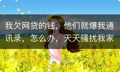 我欠网贷的钱，他们就爆我通讯录，怎么办，天天骚扰我家人