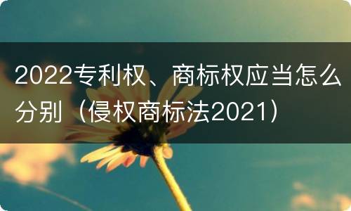 2022专利权、商标权应当怎么分别（侵权商标法2021）