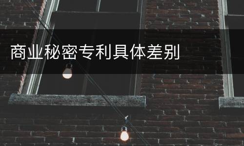 商业秘密专利具体差别
