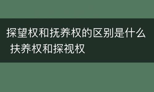 探望权和抚养权的区别是什么 扶养权和探视权