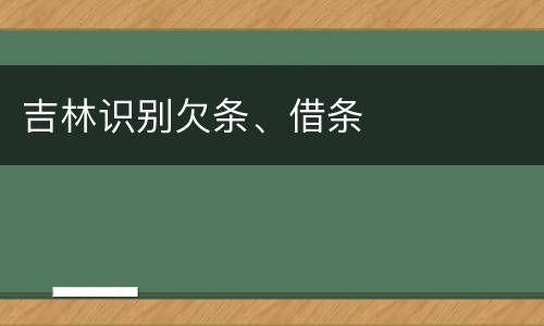 吉林识别欠条、借条