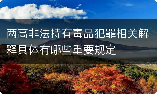 两高非法持有毒品犯罪相关解释具体有哪些重要规定