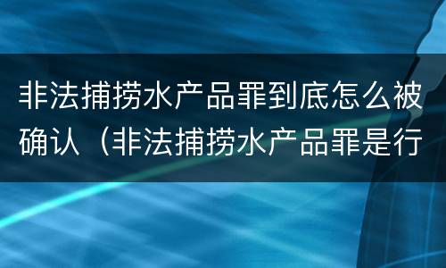 非法捕捞水产品罪到底怎么被确认（非法捕捞水产品罪是行为犯吗）