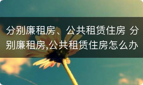 分别廉租房、公共租赁住房 分别廉租房,公共租赁住房怎么办